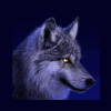Клок шерсти волка - последнее сообщение от JIMMY_J