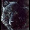 Стою На Распутье... 5 Лвл - последнее сообщение от Black Human Wolf