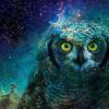 Рецепты - последнее сообщение от Cosmic Owl